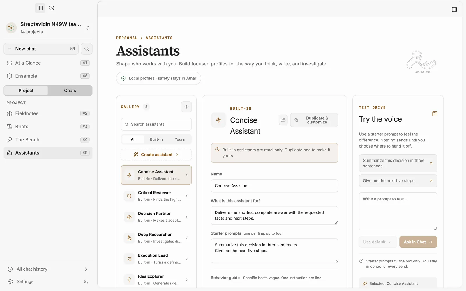 The Assistants page with the built-in assistants, the settings of the Concise Assistant and a test-drive panel.